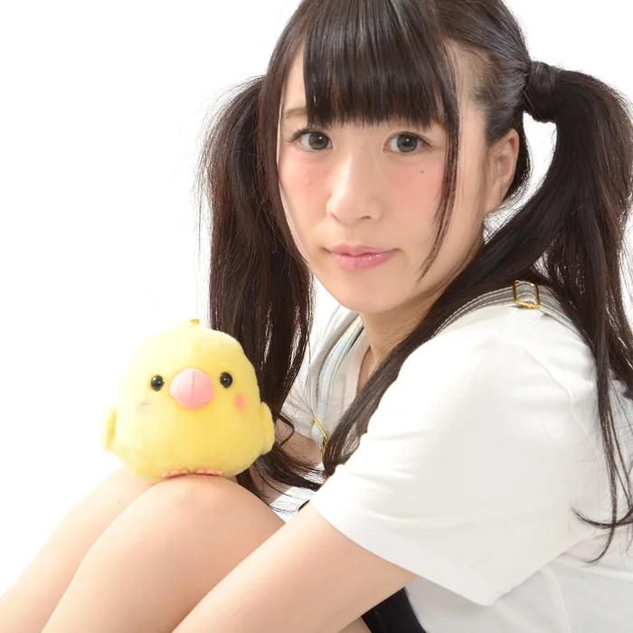 Kotori Tai Waku Waku Bird Plush Collection (Standard) 12 Kotori Tai Waku Waku Bird Plush Collection (Standard) - Image 10