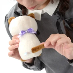 Onedari Munchkin Cat Plush Collection (Standard) -Plush Haven Shop 277ac964f7134a579fe9ccc8e67ba6c1.jpg