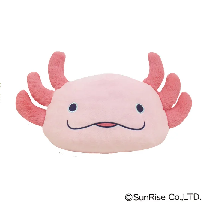 Hola! Salamanders 5 Hola! Salamanders - Image 3