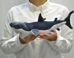 Great White Shark Plushie 19 Great White Shark Plushie -Plush Haven Shop 5afe07fe9aed4fb087a9d85db932179c.jpg