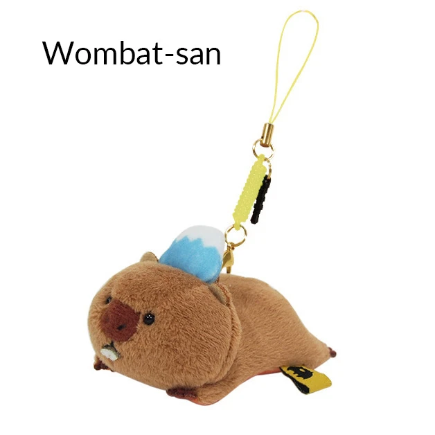 Fujisantachi Display Cleaner Strap 4 Fujisantachi Display Cleaner Strap - Image 2