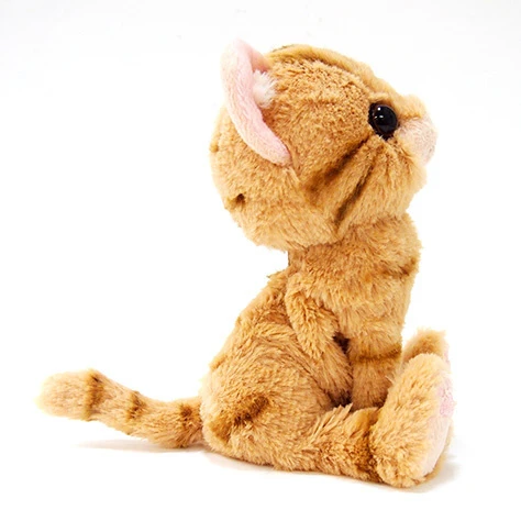 Kitten Plush: American Shorthair 14 Kitten Plush: American Shorthair - Image 12