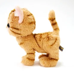Kitten Plush: American Shorthair 23 Kitten Plush: American Shorthair -Plush Haven Shop 9b7a647747e7421eb57abfc8fc33f415.jpg