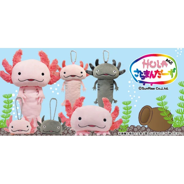 Hola Salamanders Plush Collection 3 Hola Salamanders Plush Collection