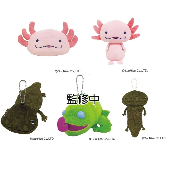 Hola! Salamanders 4 Hola! Salamanders - Image 2