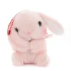 Pote Usa Loppy Rabbit Plush Collection (Ball Chain) -Plush Haven Shop d699a8e36be047c698aa000e81fe4c83.jpg